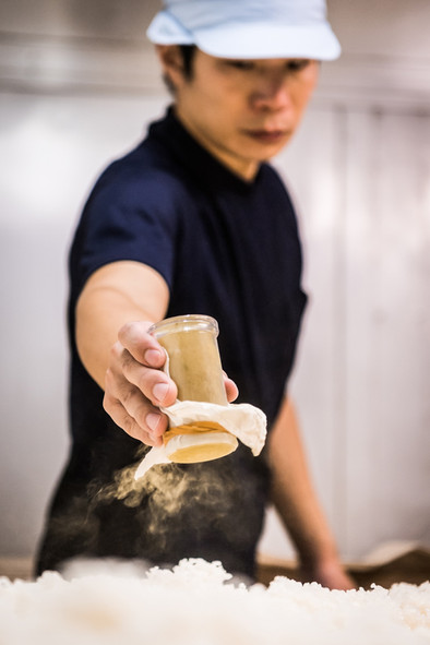 étape fabrication saké homme saupoudre koji-kin sur riz