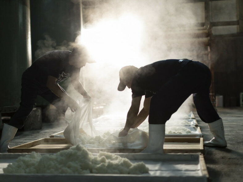 étape de fabrication saké personnes travaillant le riz cuit chaud
