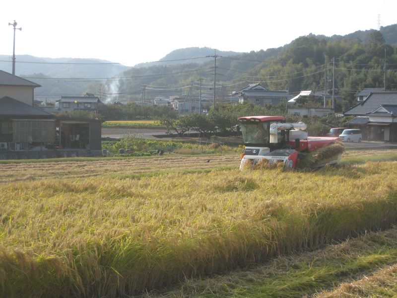 Sake authentique producteur japonais japon alcool vin artisanal Ochi Okayama