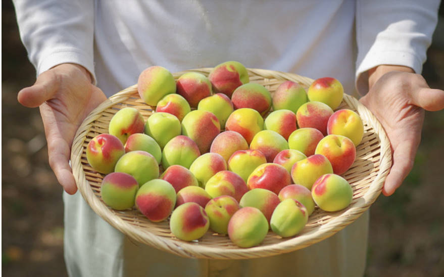 des prunes sur une assiette en bois