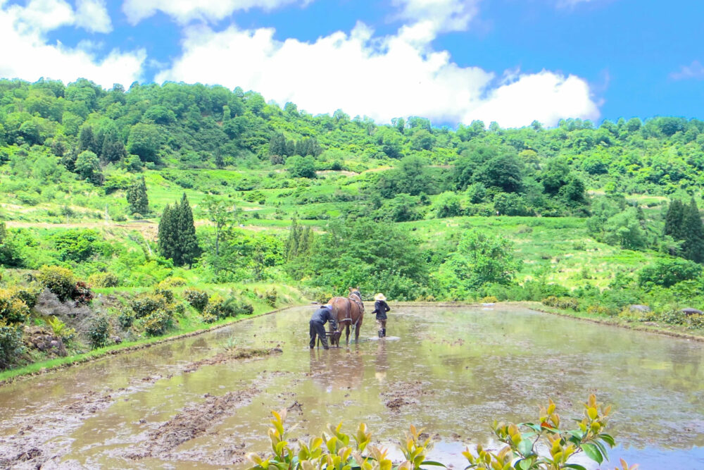 deux hommes et un cheval sur un terrain mouillé