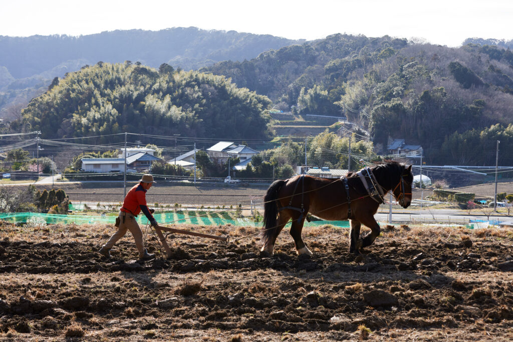 homme préparant la terre grâce à un cheval