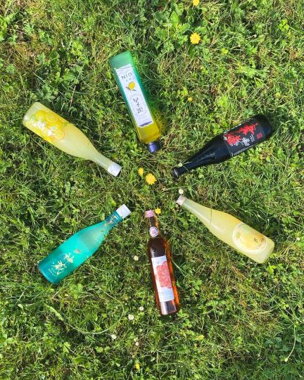 Saké et été sélection wewantsake liqueur gin saké